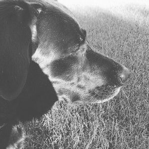 Meet your Posher, Eva